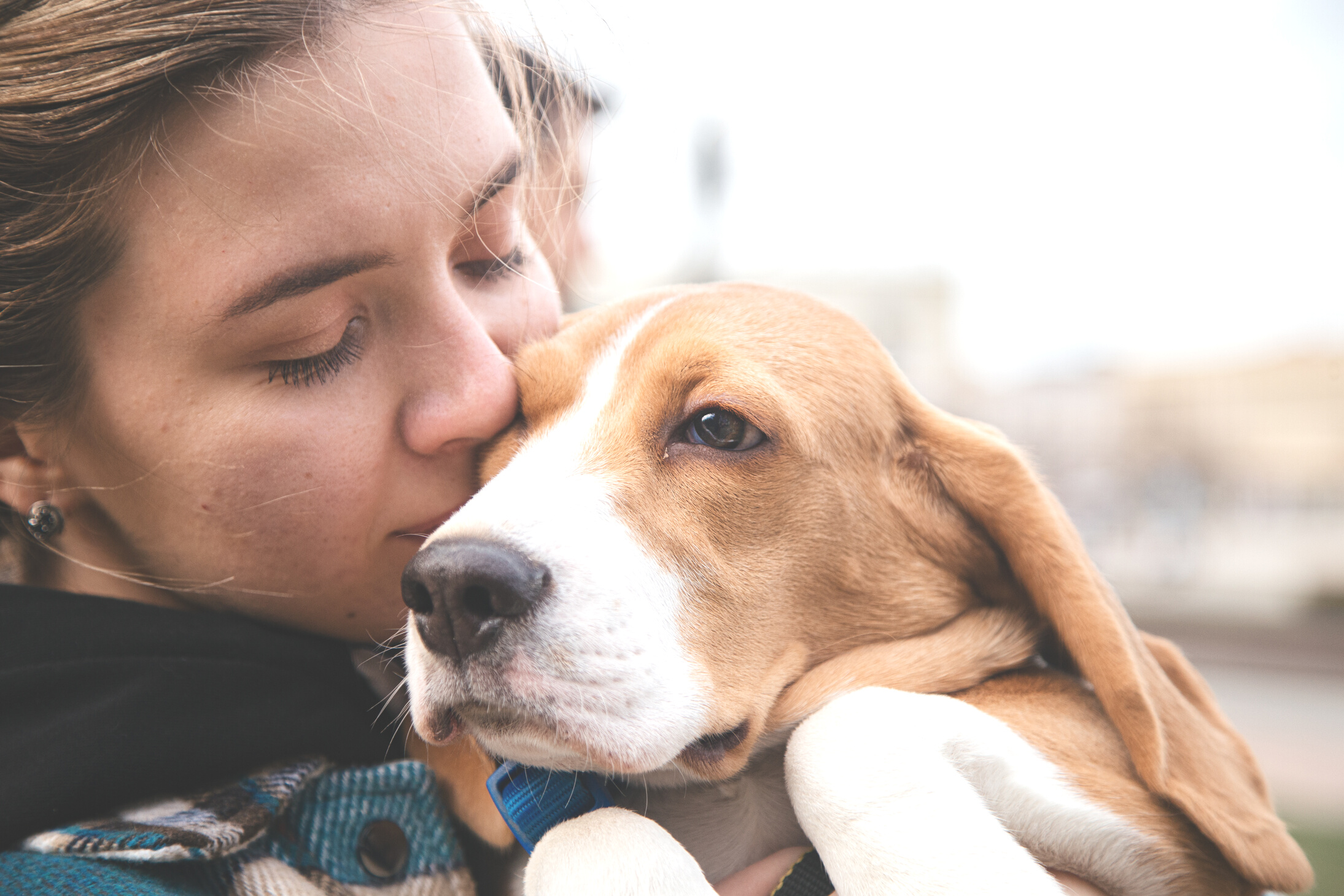 Close-Up Photo of a Woman Kissing Her Cute Beagle Pet