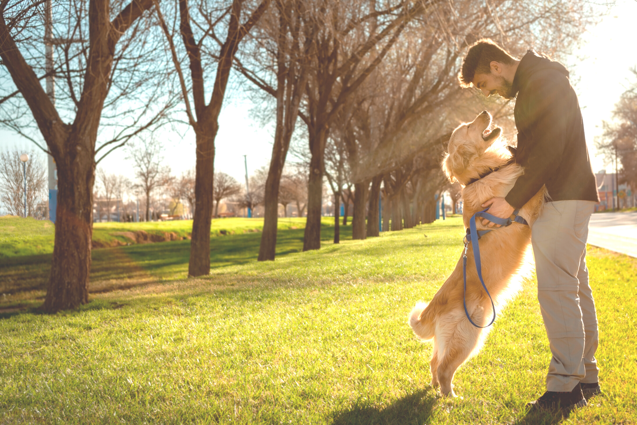 Man Hugging His Pet Dog on the Grass Outdoors