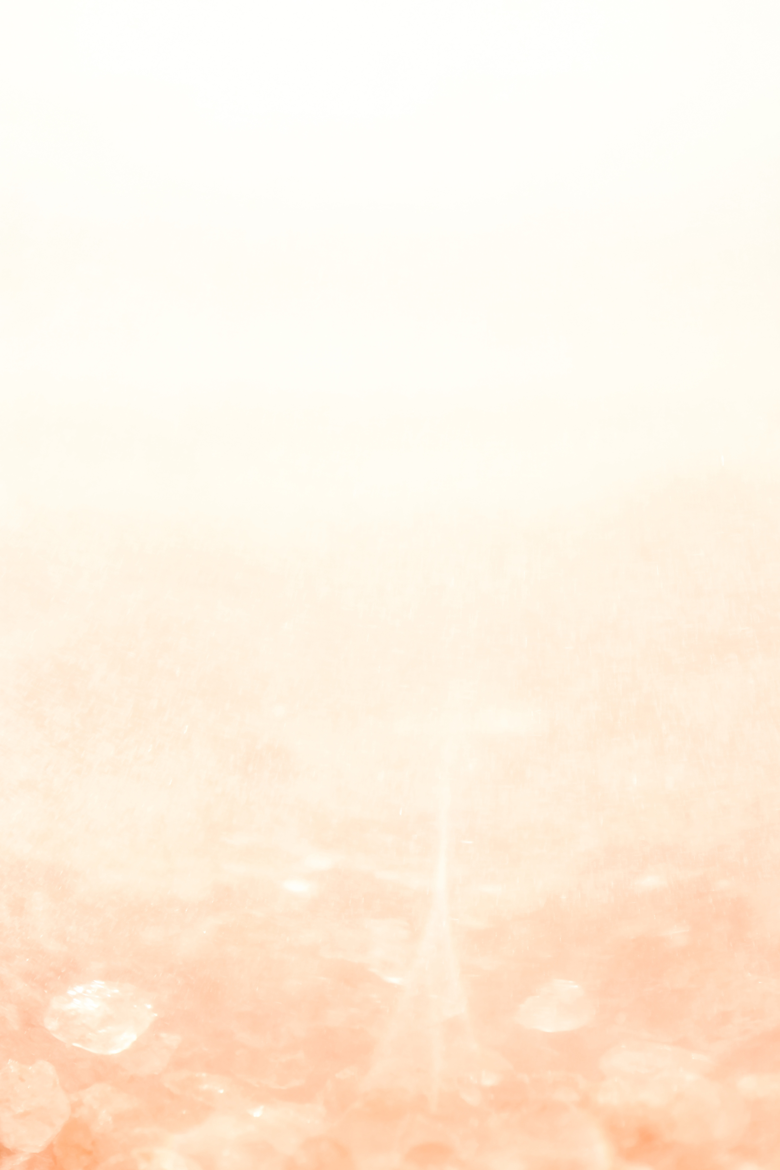 Pink and White Background in Close Up Shot